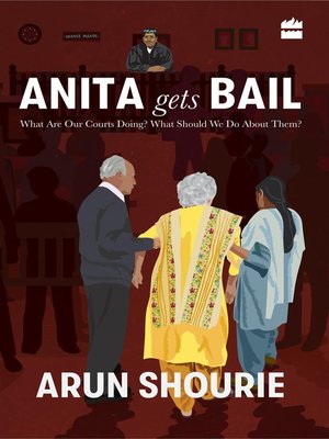 cover image of Anita Gets Bail